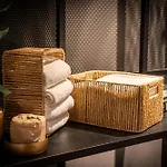 Ibis 3*