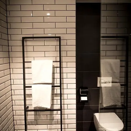 Ibis Wels